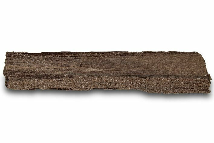 Permineralized Wood Covered In Sparkling Quartz - Germany #307000